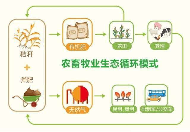 山东防疫捷报频传，健康防线持续稳固