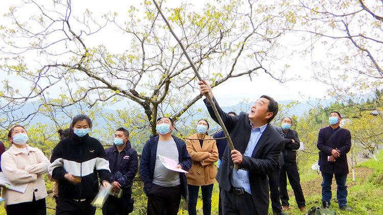 2019年黄豆价格看涨，财富丰收在望！