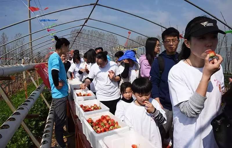 靳寨乡界首市，喜讯频传暖人心