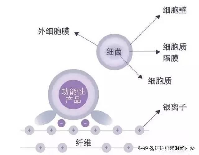 “最新版REACH规范解读”