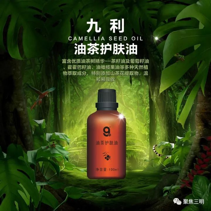 茌山学校最新动态揭秘：精彩资讯抢先看！