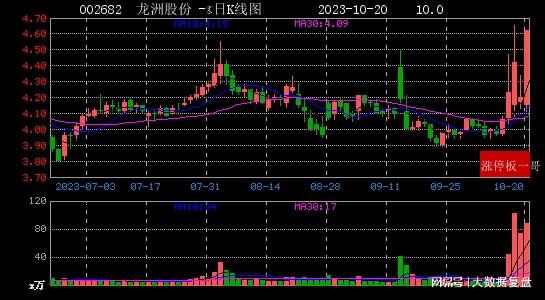 龙洲股份股价动态：最新资讯一览无遗