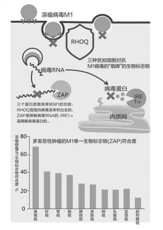 马久高速实时动态：最新进展及资讯速递