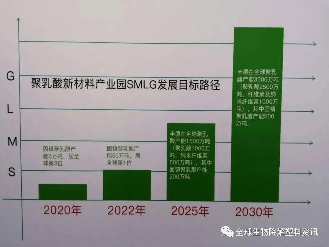 温州奥体新城最新动态速览