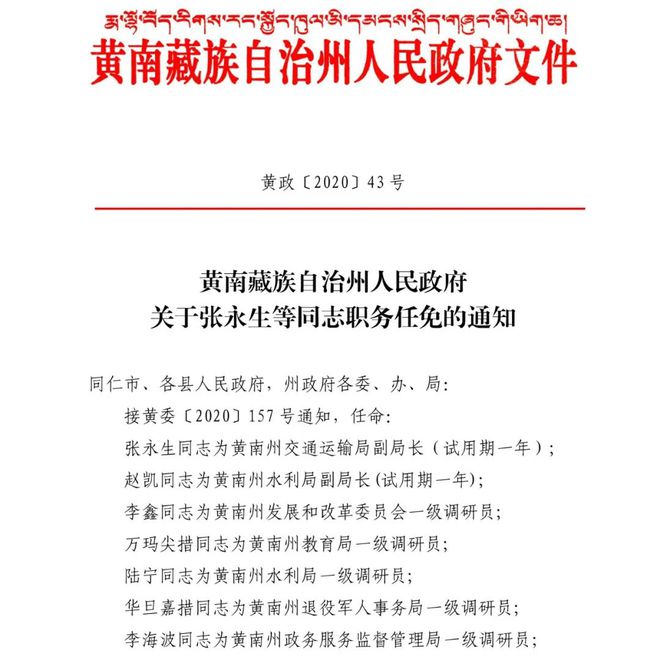 惠东县新鲜揭晓：人事任命大盘点，权威任命信息速览