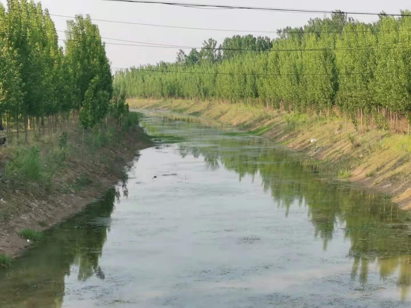 “通许城区独家庭院，现正热销中，错过不再有！”