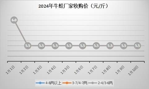 2025年最新牛蛙市场行情：实时价格大揭秘！