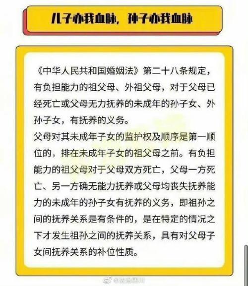 关于子女抚养权归属的最新法律法规解读与解析